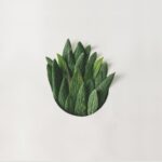 Portfolio 7